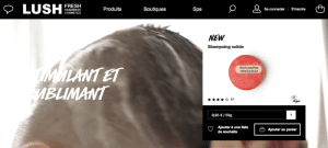exemples-fiches-produits