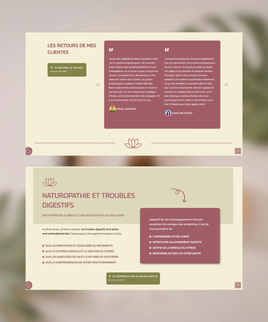Refonte du site internet d'Anais naturopathe