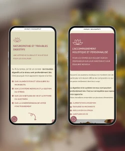 Refonte du site internet d'Anais naturopathe