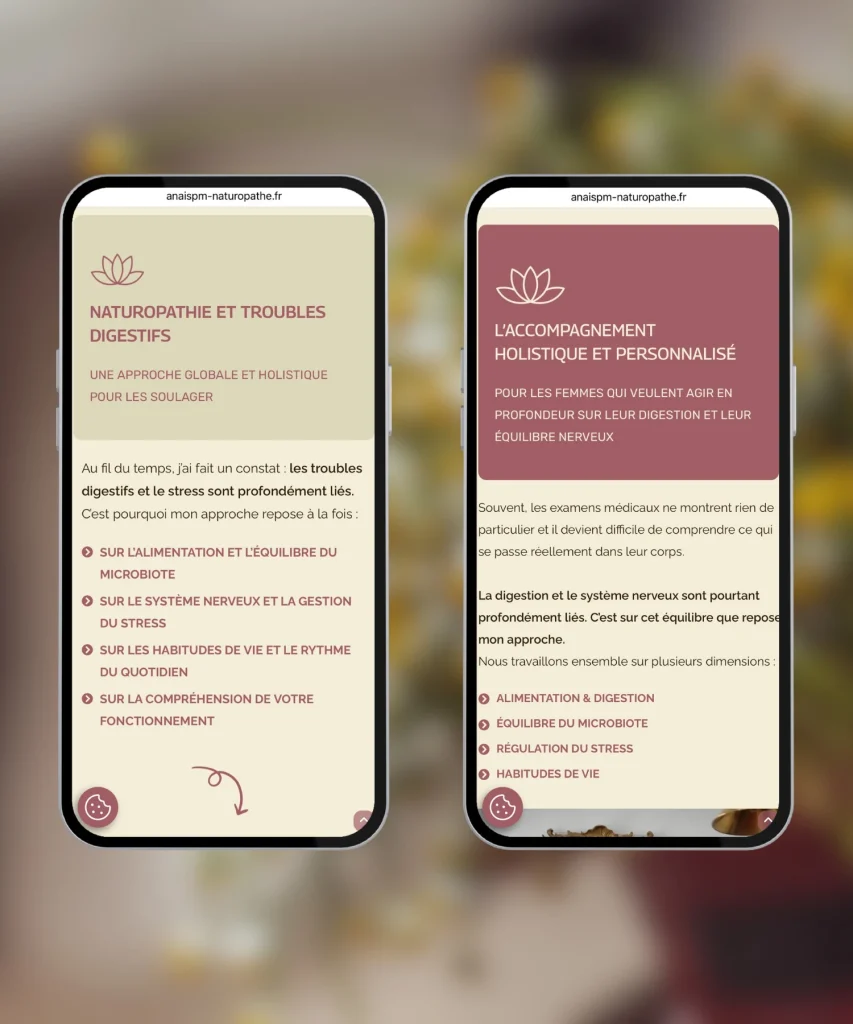 Refonte du site internet d'Anais naturopathe