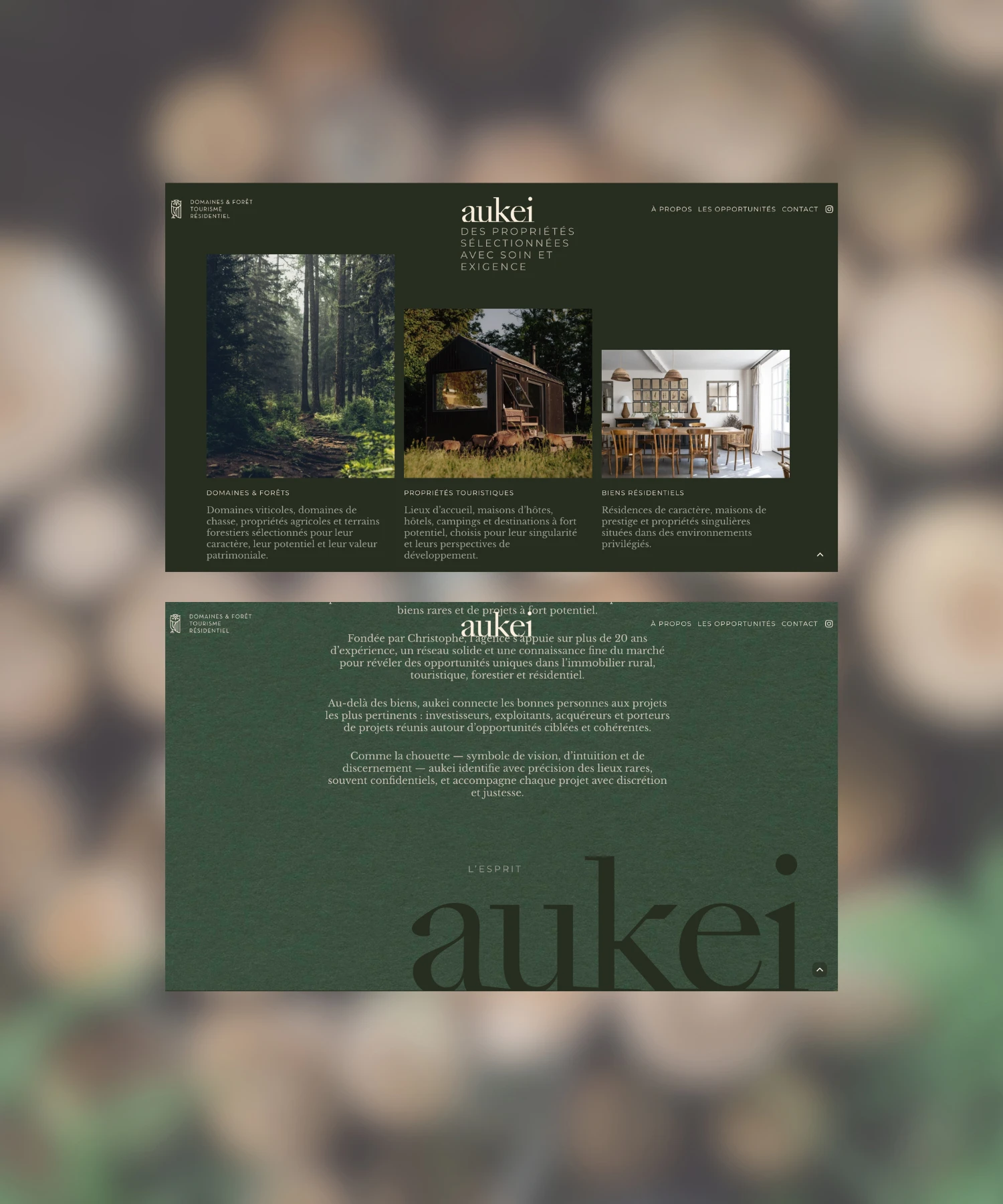 Aukei Site Premium version ordinateur