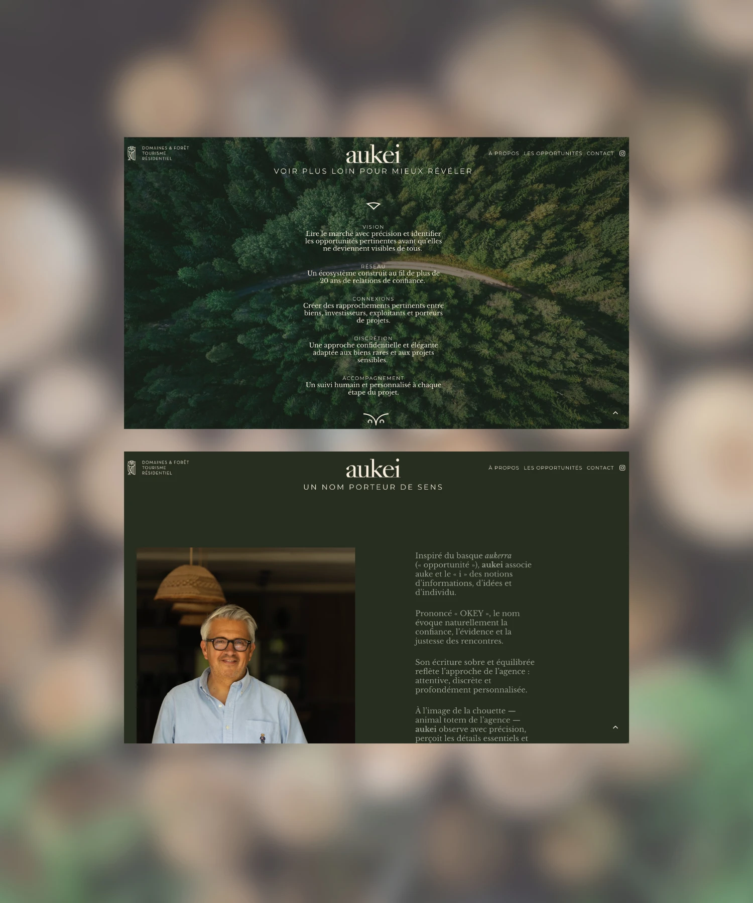 Aukei Site Premium