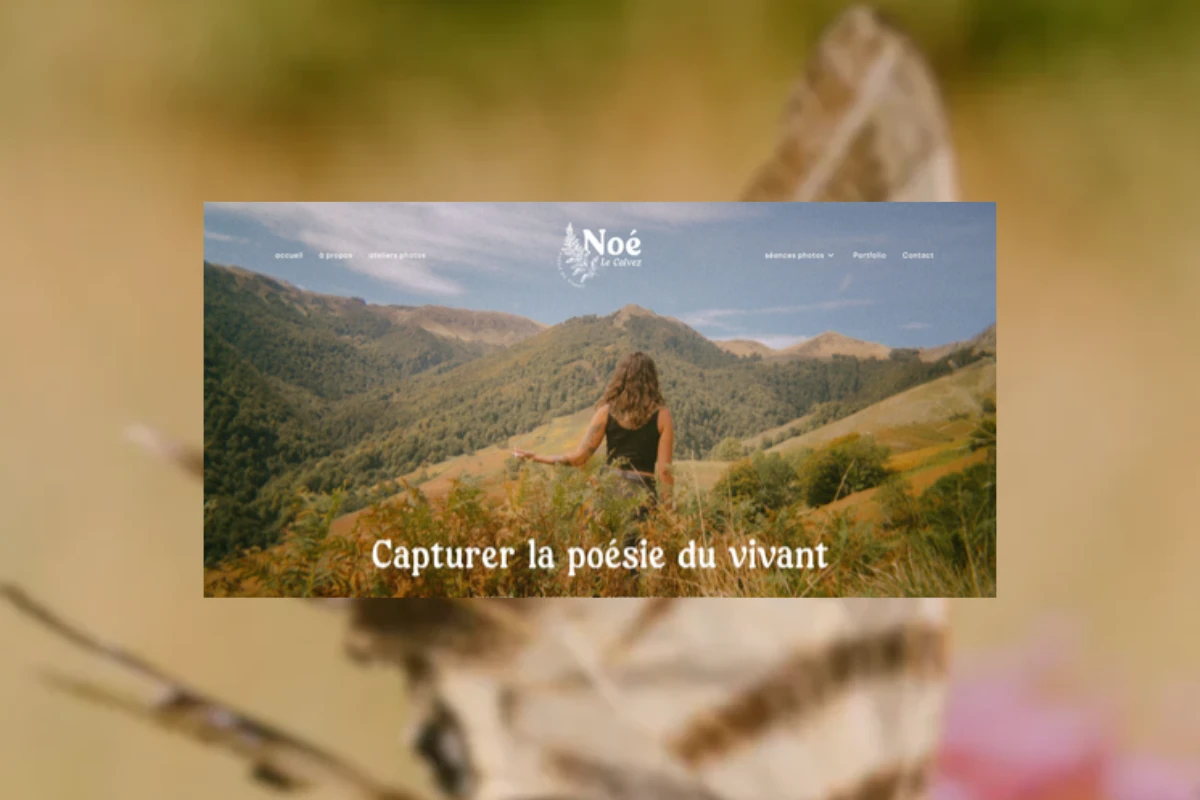 Site internet photographe dans les Landes